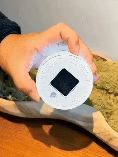 Pack 3 LED Inteligente Luminus™ c/sensor de movimiento